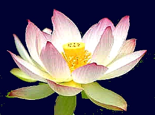 Vipassana inzichtmeditatie